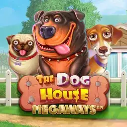 The Dog House Megaways game at Betmaze Casino for players in the United Kingdom