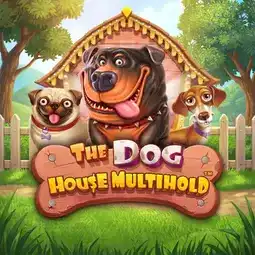 The Dog House Multihold game at Betmaze Casino for players in the United Kingdom